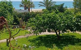 Seafront